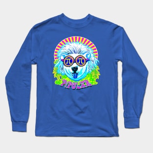 Pi Polar Bear Pi Day Long Sleeve T-Shirt